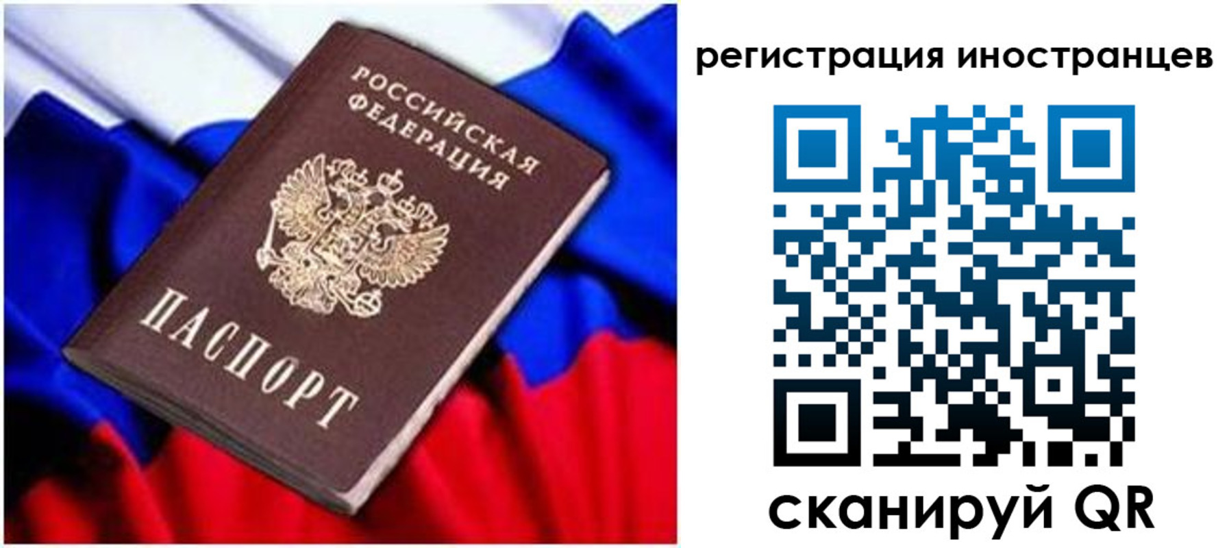 прописка для школы в Козельске